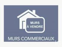 annonce vente local commerce freteval 41160