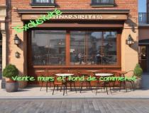 annonce vente local commerce furiani 20600