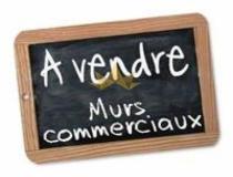 annonce vente local commerce furiani 20600