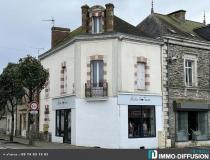 Immobilier local - commerce Guemene Penfao 44290 [41/2836210]