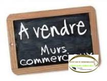 annonce vente local commerce la frasse 74300