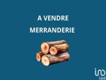 annonce vente local commerce le lonzac 19470