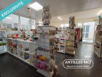 annonce vente local commerce le marin 97290