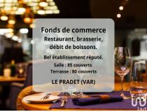 annonce vente local commerce le pradet 83220