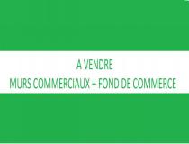 Vente local - commerce Le Tampon 97430 [41/2650550]