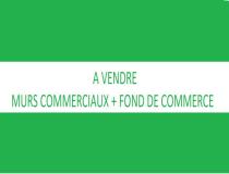 annonce vente local commerce le tampon 97430