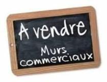 annonce vente local commerce les makes 97421