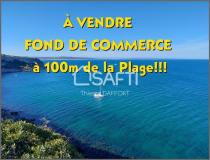 annonce vente local commerce leucate 11370