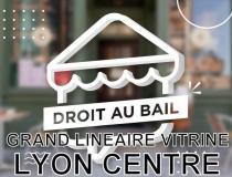 annonce vente local commerce lyon 01 69001