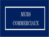 annonce vente local commerce lyon 06 69006