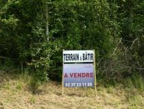 annonce vente local commerce maintenon 28130