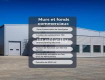 annonce vente local commerce martigues 13500