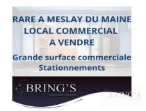 annonce vente local commerce meslay du maine 53170