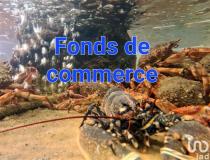 annonce vente local commerce mesquer 44420