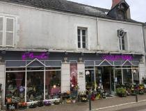 annonce vente local commerce meung sur loire 45130