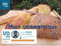 Vente local - commerce Montfort Le Gesnois 72450 [41/2871563]