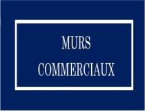 annonce vente local commerce montluel 01120