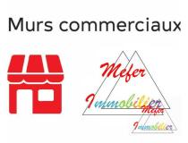 Immobilier local - commerce Nay Bourdettes 64800 [41/2788631]