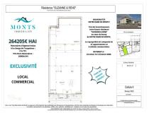 annonce vente local commerce notre dame de monts 85690