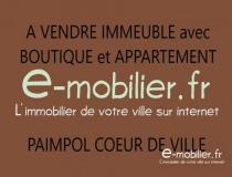 annonce vente local commerce paimpol 22500