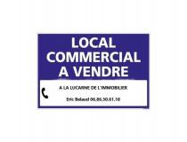 Vente local - commerce Parthenay 79200 [40/2853378]
