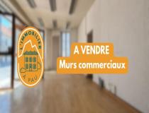 annonce vente local commerce pau 64000