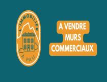 annonce vente local commerce pau 64000