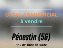 annonce vente local commerce penestin 56760