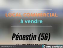 annonce vente local commerce penestin 56760