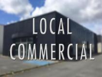 annonce vente local commerce peyrehorade 40300