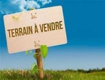 annonce vente local commerce plerneuf 22170