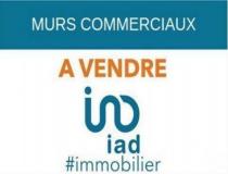 Immobilier local - commerce Plombieres Les Bains 88370 [41/2864739]