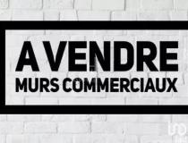 annonce vente local commerce quissac 30260