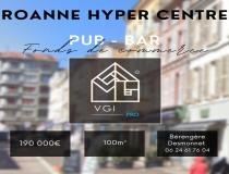 annonce vente local commerce roanne 42300