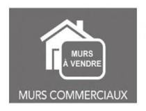 annonce vente local commerce saint francois 97118