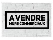 annonce vente local commerce saint francois 97118