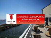 annonce vente local commerce sete 34200