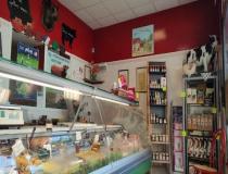 Location local - commerce Soings En Sologne 41230 [42/2680792]