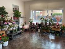 Vente local - commerce St Jeannet 6640 [40/2833252]