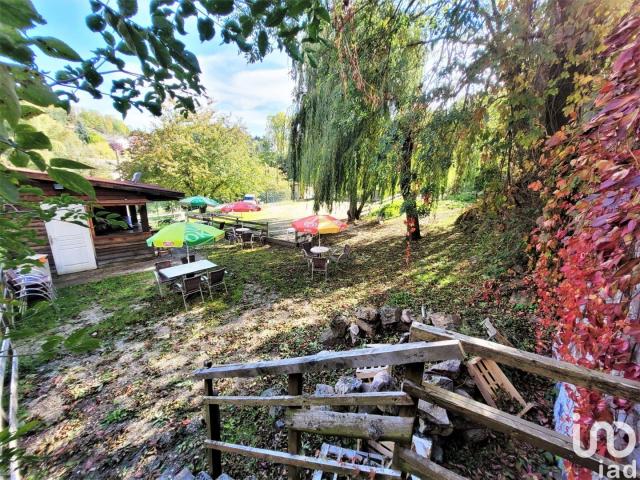 annonce vente local commerce st julien chapteuil 43260