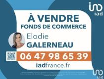 annonce vente local commerce st martin de re 17410