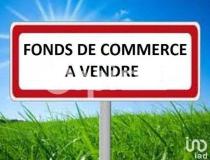 annonce vente local commerce ste eulalie 33560