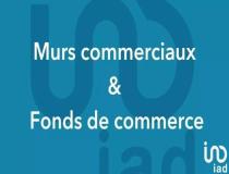 annonce vente local commerce ste gemme 17250