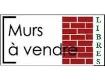 annonce vente local commerce talmont st hilaire 85440