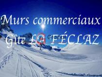 annonce vente local commerce thoiry 73230