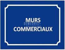 annonce vente local commerce tignes 73320