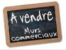 annonce vente local commerce toulouse 31000