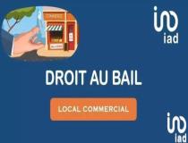 annonce vente local commerce toulouse 31000