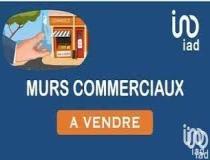 annonce vente local commerce trebes 11800