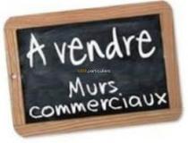 annonce vente local commerce tregastel 22730